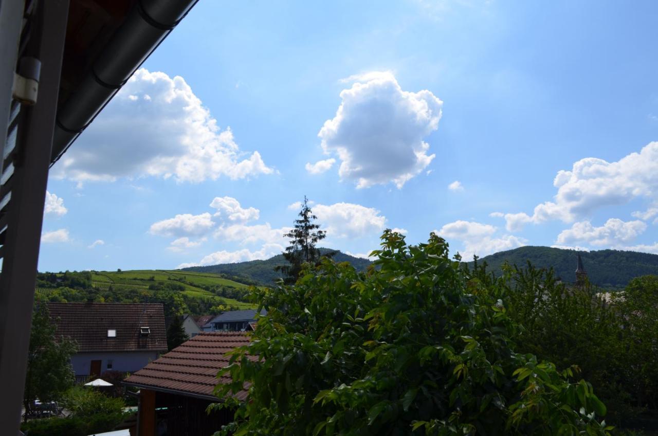 Bed and Breakfast L'Atelier Des Sens Wintzenheim Exterior foto